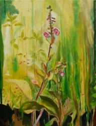 Foxglove - SOLD