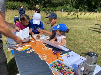 Community wildlife activities as part of a sustainability festival