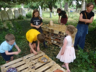 Community wildlife activities as part of a sustainability festival